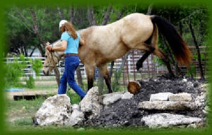 BraveHorseNew/BHClinic25.jpg